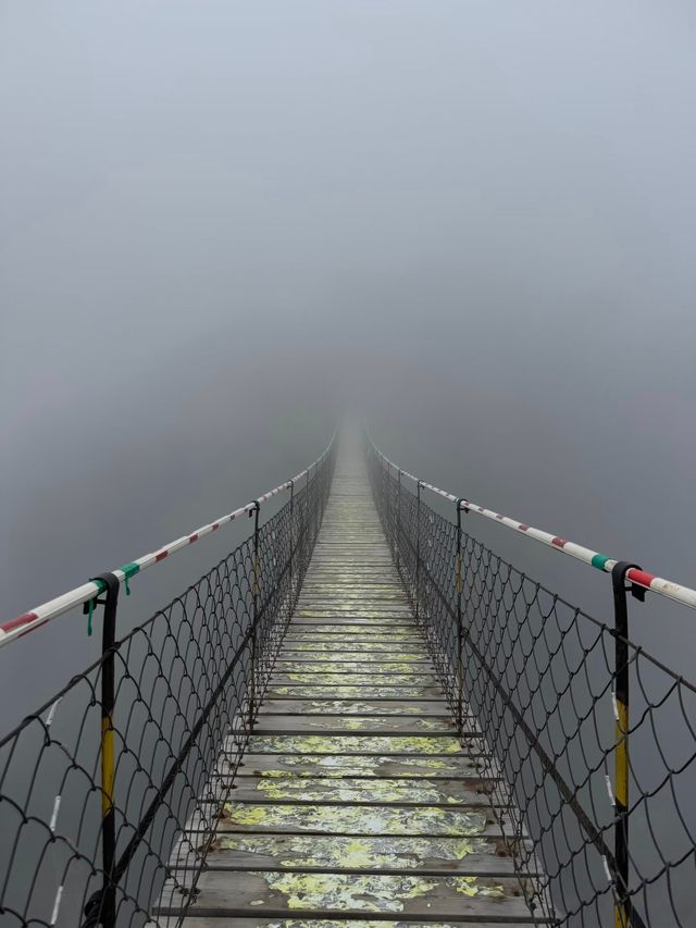 五老峰冬遊記:偶遇神仙潑墨現場! 五老峰冬遊記:偶遇神仙潑墨現場!