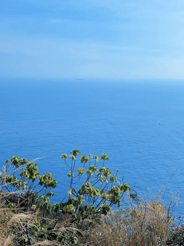 12月實拍！深圳天文台你美！！live（附攻略機位