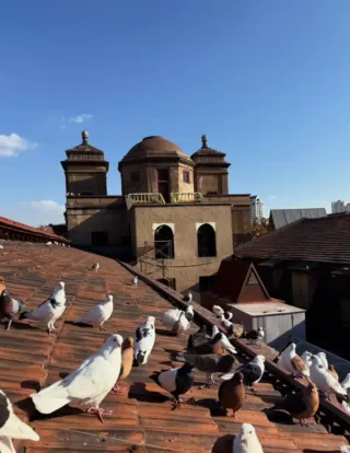 交易所：股票與硝煙