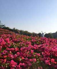 南寧青秀山旅遊拍照打卡地