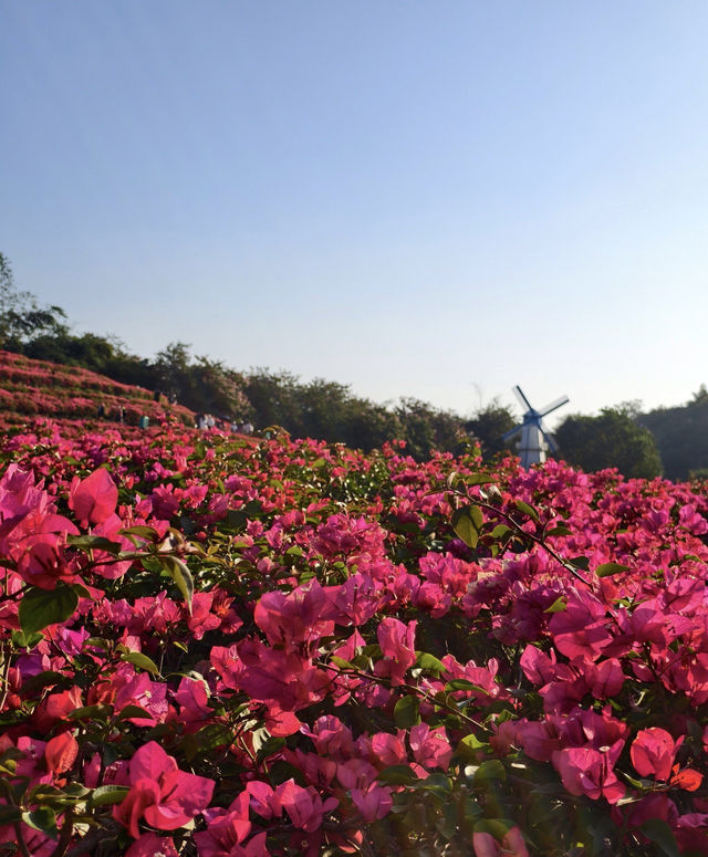 南寧青秀山旅遊拍照打卡地 南寧青秀山旅遊拍照打卡地