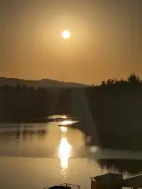 落葉倒數計時!千島湖落日金葉,衝就對了!