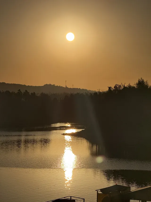 落葉倒數計時!千島湖落日金葉,衝就對了! 落葉倒數計時!千島湖落日金葉,衝就對了!