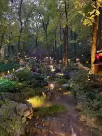 杭州2h直達！一個還在80年代的寶藏小鎮