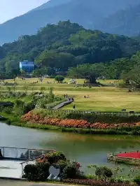 免費|深圳18個出片的地方(附定位路線)