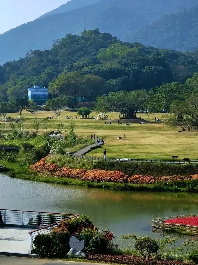 免費|深圳18個出片的地方(附定位路線) 免費|深圳18個出片的地方(附定位路線)