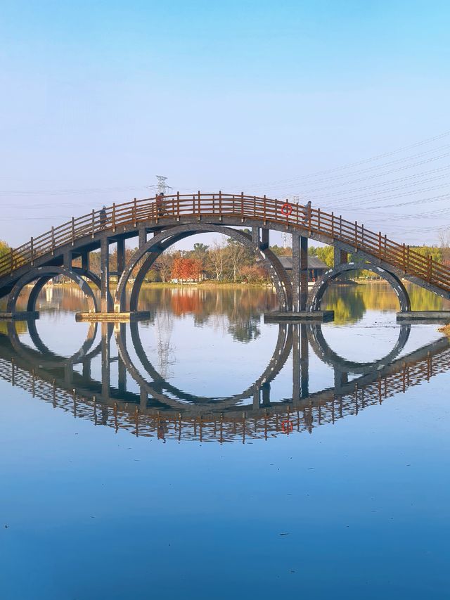 沔青園記 | 一脈水鄉印古今