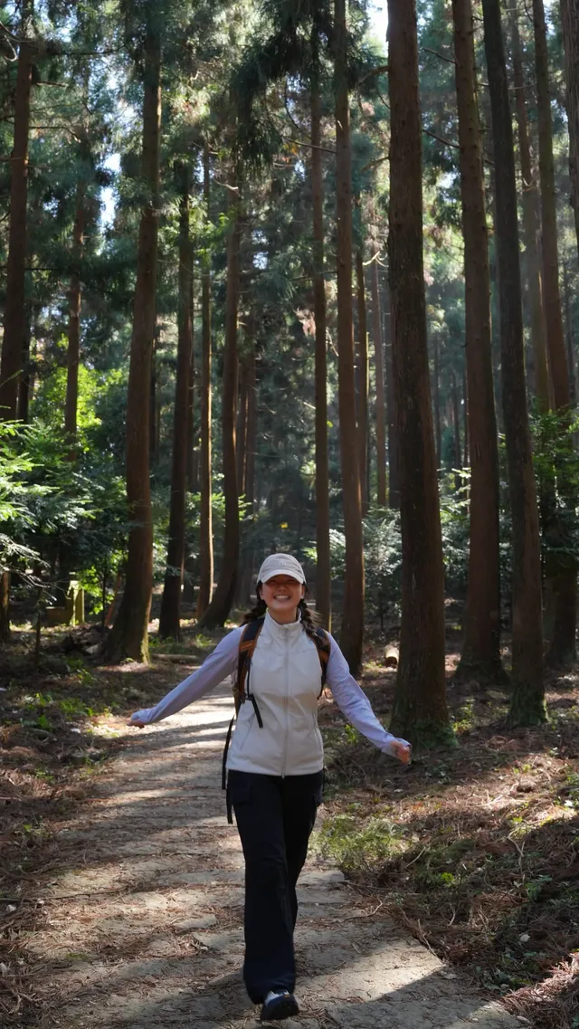 墜入「暮光森林」平陽滿田森林公園 墜入「暮光森林」平陽滿田森林公園