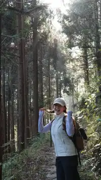 墜入「暮光森林」平陽滿田森林公園