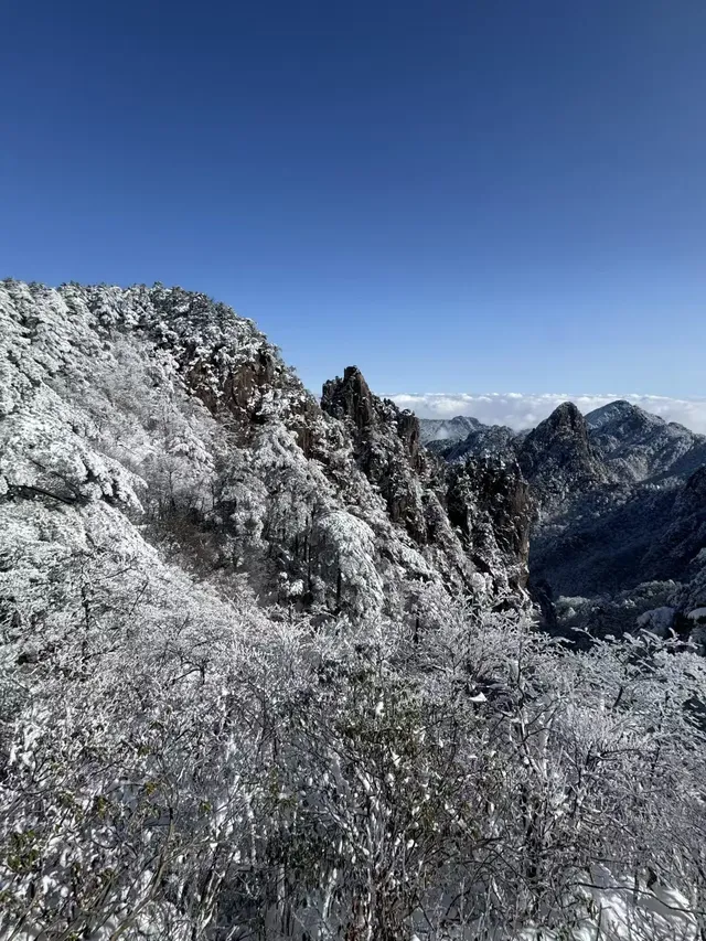 12月及1月來郴州莽山的！存下吧超全的！