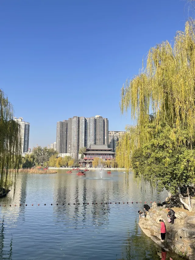 西安興慶宮｜在皇家園林裡接住最後一捧銀杏