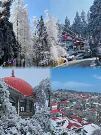 南國雪鄉美到窒息!廬山2天1晚看雪攻略