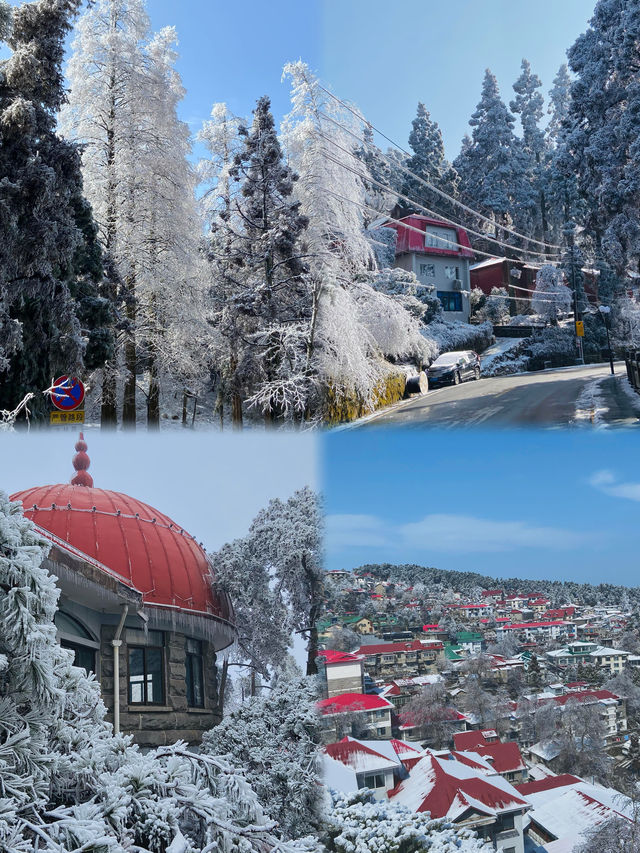 南國雪鄉美到窒息!廬山2天1晚看雪攻略 南國雪鄉美到窒息!廬山2天1晚看雪攻略