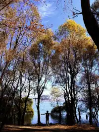 12月洱海!闖入現實版《小森林》紅杉秘境!