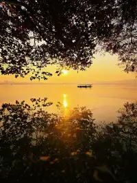 杭州紅楓反向線|3h拍爆西湖秋景~