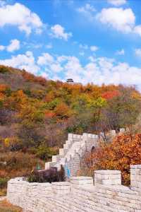 遼寧省6天5晚親子遊攻略人均1560玩轉10+景點