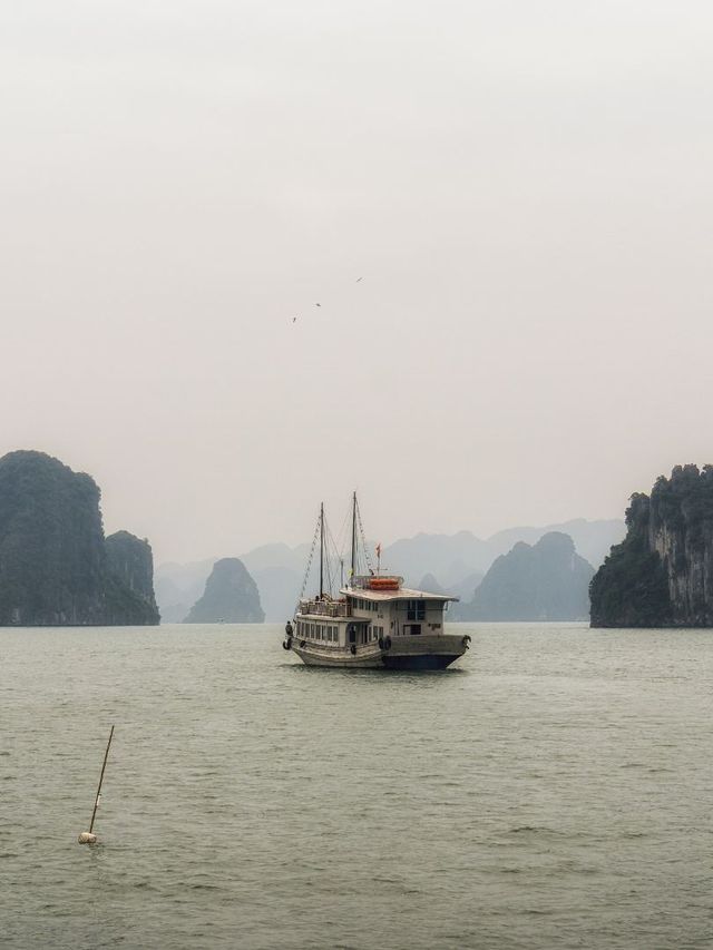 人均1k+越南這樣玩也太值了吧 人均1k+越南這樣玩也太值了吧