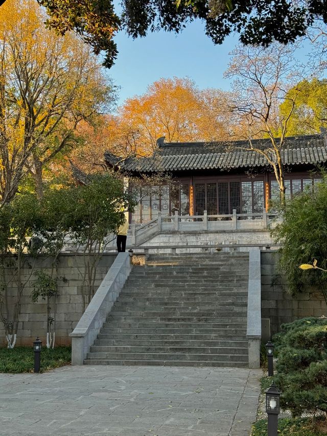 清涼山公園才是金陵賞秋天花板! 清涼山公園才是金陵賞秋天花板!