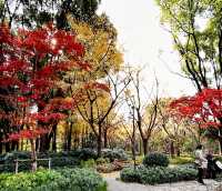 魔都小眾治癒地輔德里公園|市中心藏的森林綠洲