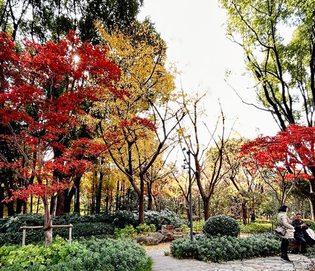 魔都小眾治癒地輔德里公園|市中心藏的森林綠洲 魔都小眾治癒地輔德里公園|市中心藏的森林綠洲