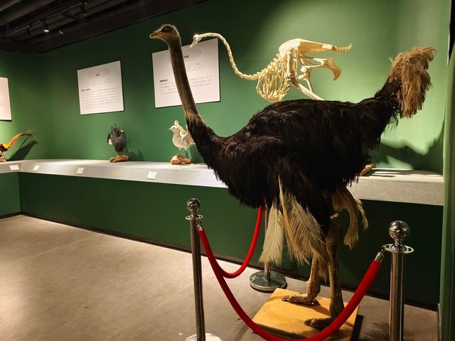 20250928   藏在北京的秘密森林：五洲植物樂園