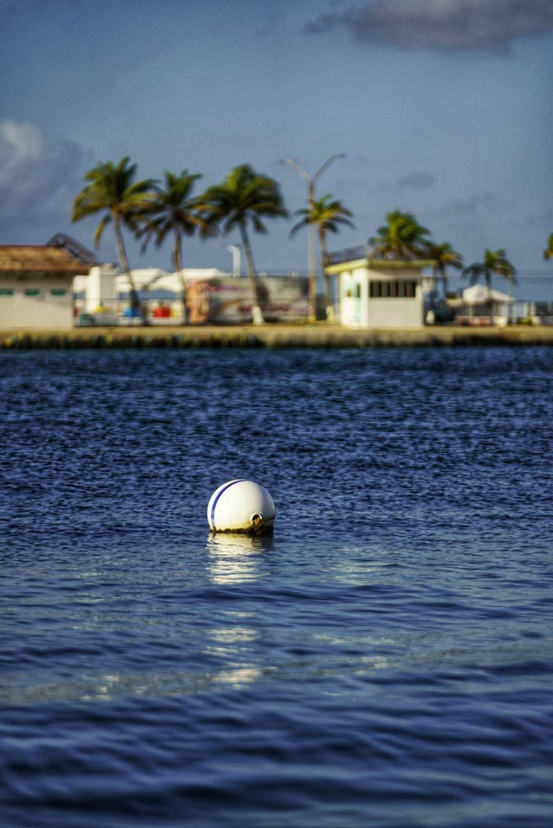 Aruba 24h Island Tour Guide｜Experience the Healing Moments on the Happy Island