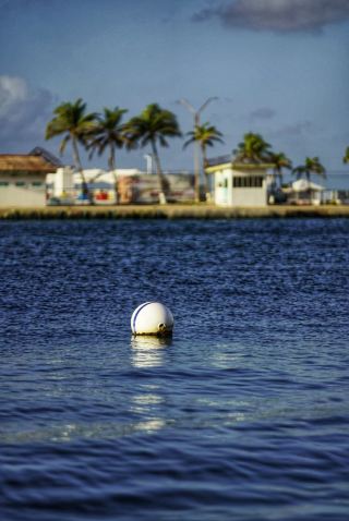 Aruba 24h Island Tour Guide｜Experience the Healing Moments on the Happy Island