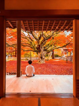 京都の秋は美しいと思っていましたが、福岡に来てその考えが変わりました。