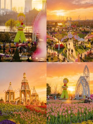 ด้วยฉากหลังเป็นพระอาทิตย์ตกดินและทุ่งดอกไม้ที่ปูเป็นพรม สวนแห่งนี้ในเซี่ยงไฮ้จึงซ่อนความลับของเจ้าชายน้อยเอาไว้