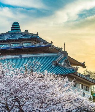 Jingshan Oxygen Bar Cherry Blossom Season
