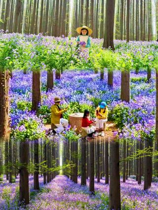 金湖水上森林の春のお出かけ｜現実版オズの魔法使い