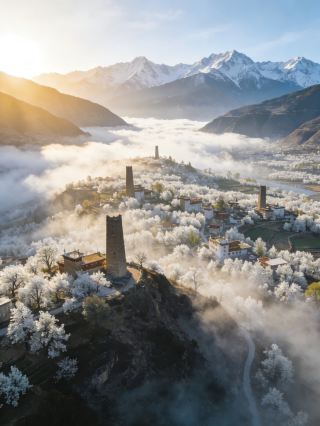 Jinchuan Pear Blossom Must-See Guide | March Exclusive! A Hundred-Mile Sea of Snow Under the Mountains, Miss It and Wait a Year