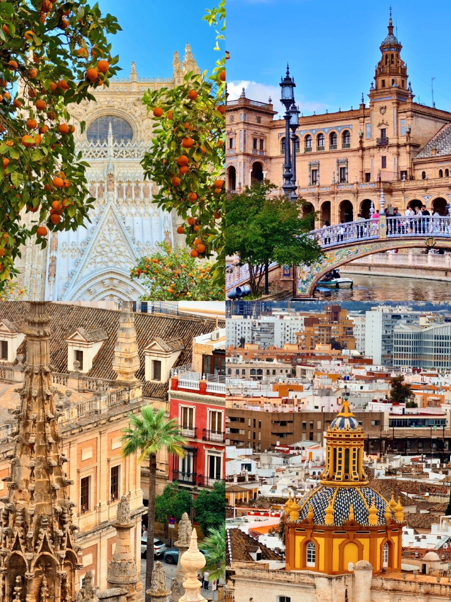 Seville với hương vị cam đặc trưng | Hướng dẫn du lịch 2 ngày