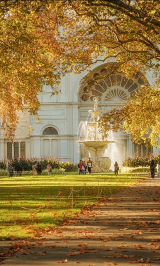 Melbourne's hidden autumn gem, Carlton Gardens, is breathtaking!