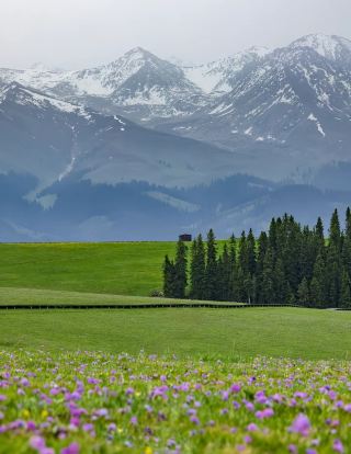 Encounter Nalati: Start a Relaxing Vacation on the Grasslands
