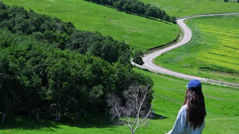 Beijing 3h Altay alternative 2 days 1 night grassland self-drive, with guide — traveler post in Guyuan County