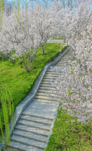정저우에서 차로 이동했을 때 호텔 환경은 훌륭했고 휴가를 보내기에 완벽했습니다. 루밍호는 차로 20분 거리에 있어 호숫가에서 피크닉을 즐기거나 자전거를 빌려 둘러볼 수 있습니다.