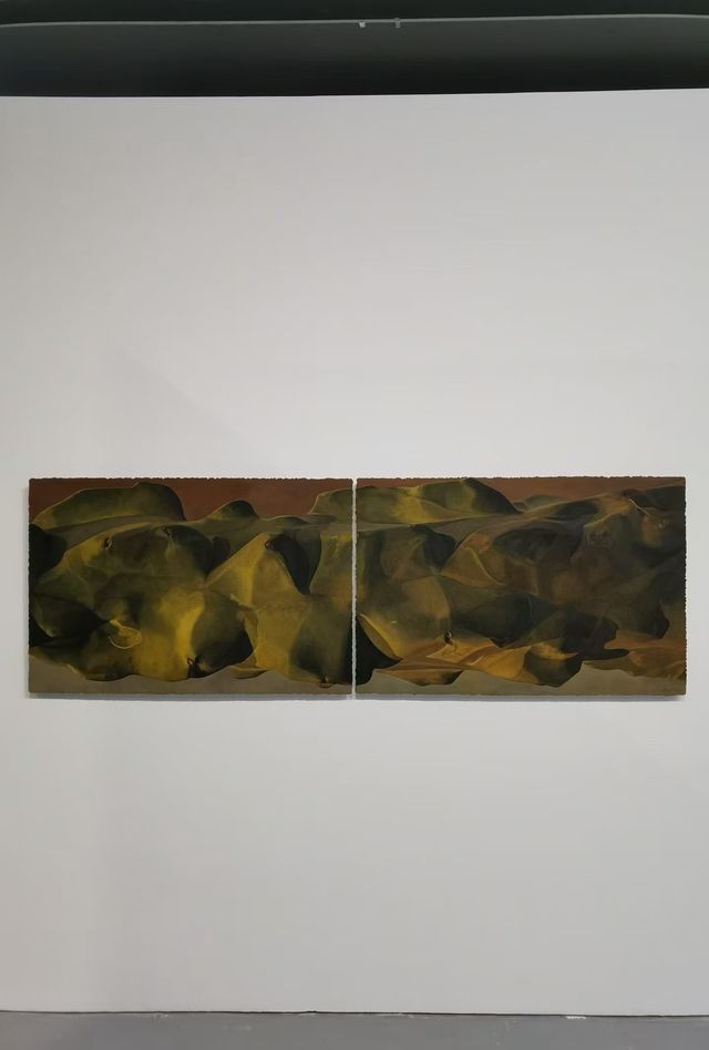 艺术迷速來!START星美術館三大新展同開,拍照打卡