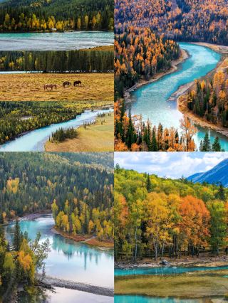 Just back from Kanas: September–October is the golden time for autumn in Northern Xinjiang