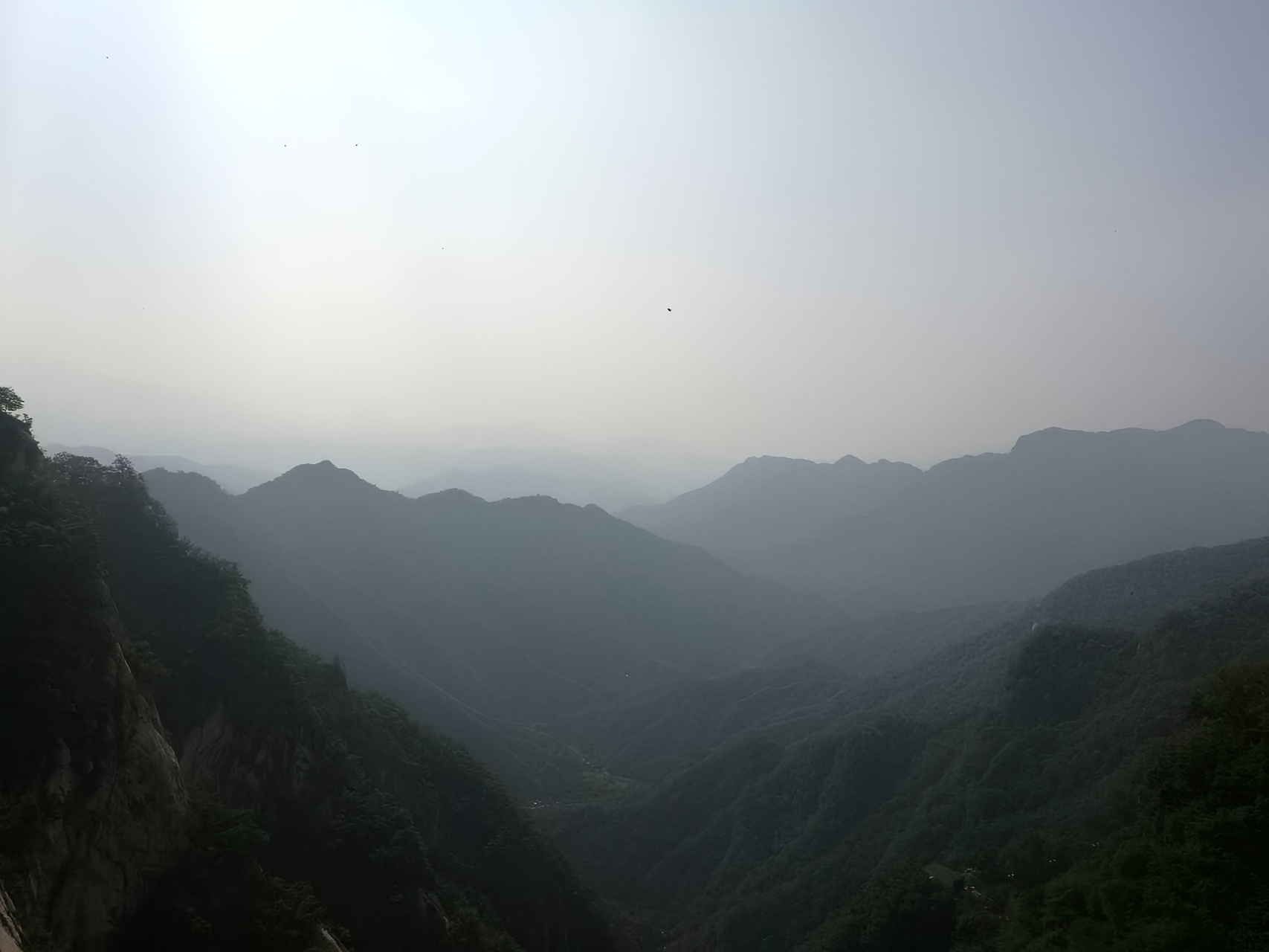 Avoid the crowds: A hidden gem, easy forest-based educational route for kids in Henan