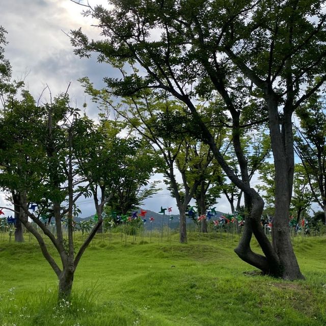 꽃들이 예쁜 해운대수목원