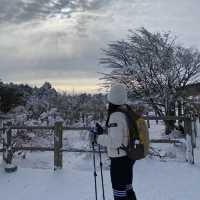 제주도 한라산 백록담 눈쌓인 설산 보고왔어요