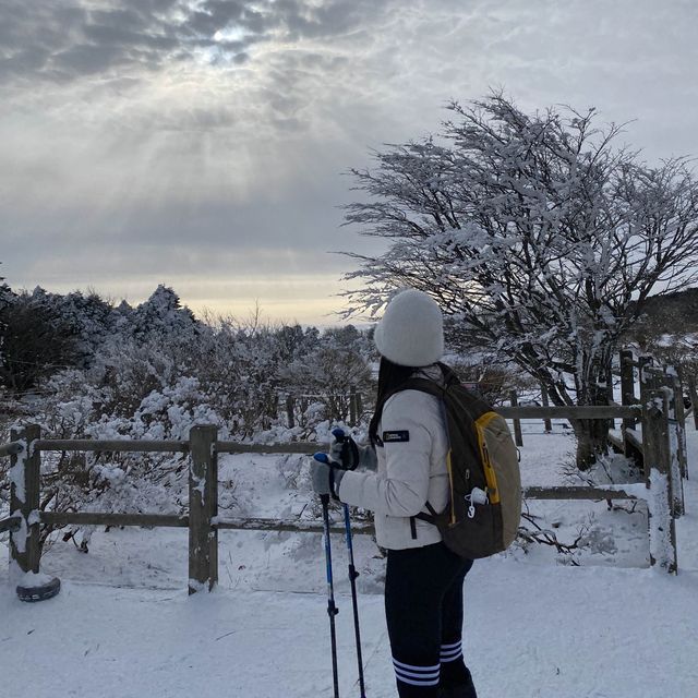 제주도 한라산 백록담 눈쌓인 설산 보고왔어요