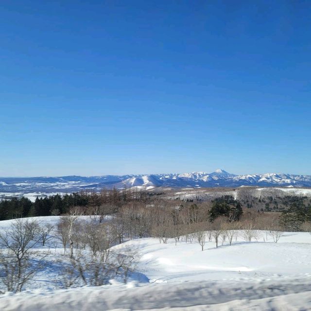 車遊北海道阿寒摩周國立公園