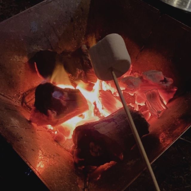 𝓢𝔀𝓲𝓼𝓼𝓿𝓪𝓵𝓵𝓮𝔂 ʜɪᴘʀᴇsᴏʀᴛ ⛺️✨