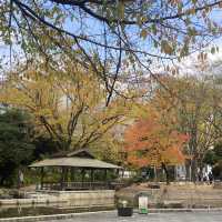 名古屋城市中綠洲 下園公園