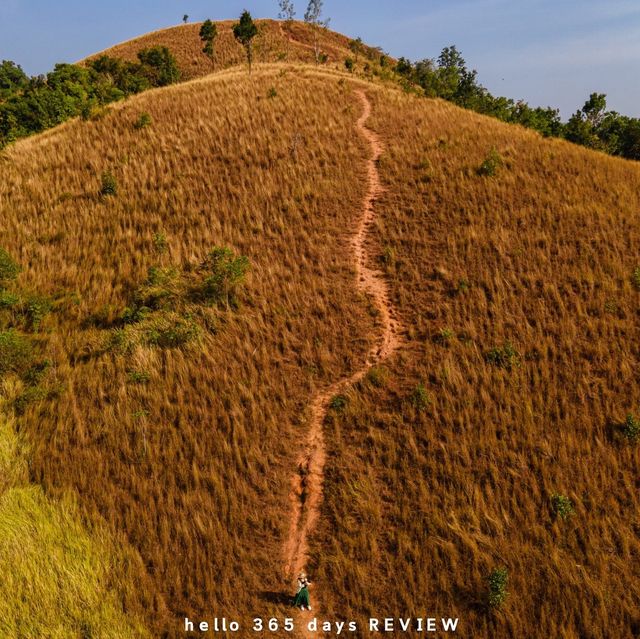 เขาหญ้า ซาฟารี ระนอง