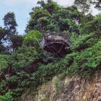 🇸🇬SG’s 1st net positive energy nature park 