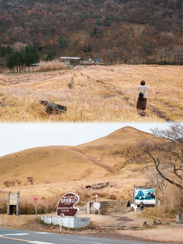 日本九州 | 爬山一座金色的火山🌋