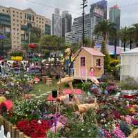 2023香港花卉展覽完結篇